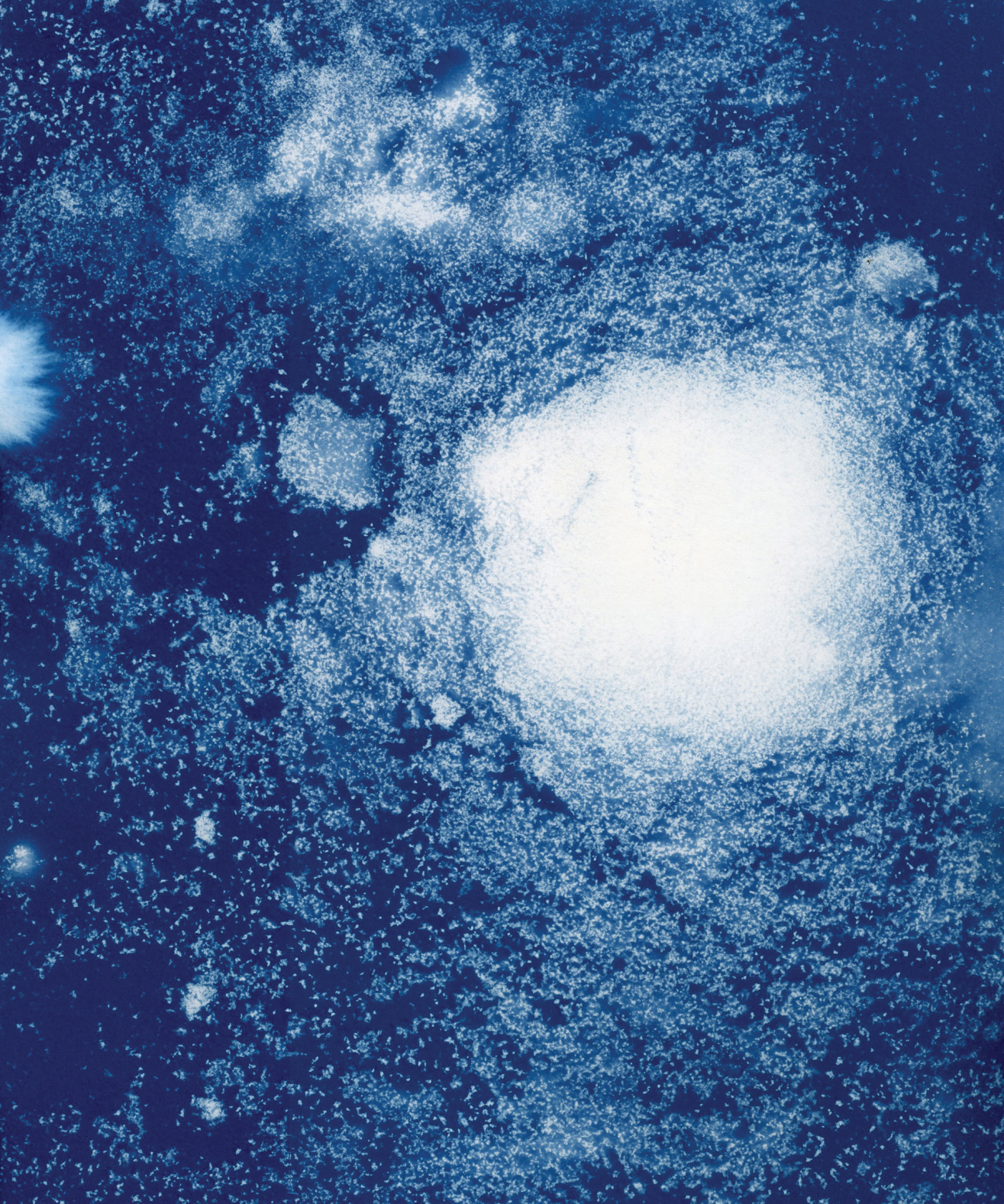 Crawl Space: September 2019